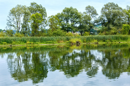 夏季湖风景与树木反射在水面上背景图片