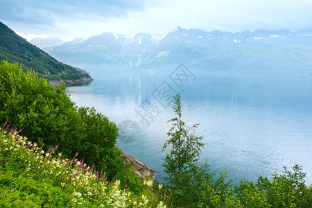 挪威诺德兰Glomfjjorden上空阴云多的夏季风景图片