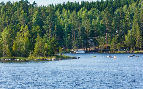 带林的夏季湖景芬兰图片