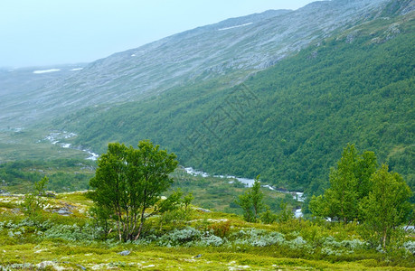 与河流挪威Aurlandsfjellet接壤的米丝蒂夏季山地景观图片