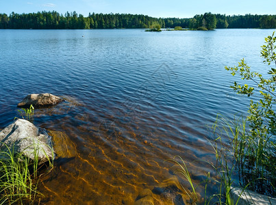 带林的夏季湖景芬兰图片