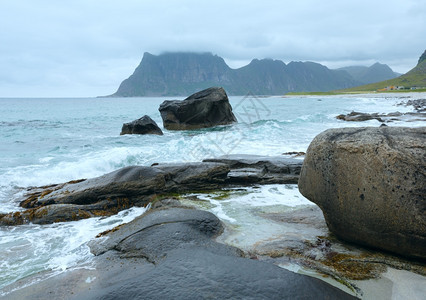 霍克兰石滩夏季景观挪威罗浮敦图片