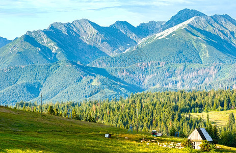 夏季山村郊区附近有谷仓和羊群波兰后面塔特拉山脉图片