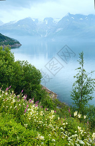 挪威诺德兰Glomfjjorden上空阴云多的夏季风景图片