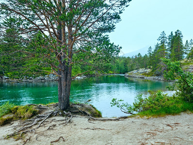 夏季山河风景靠近斯托尔达诺格图片