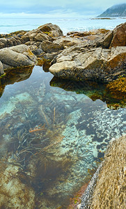 石块中间带藻类挪威拉姆贝格洛福顿图片