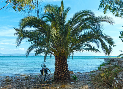 夏季沙滩附近的棕榈树和自行车希腊里夫卡达图片