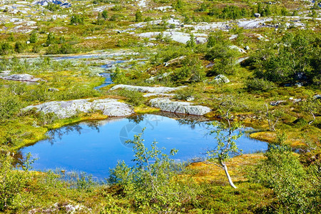 夏季山有蓝水的小湖挪威图片
