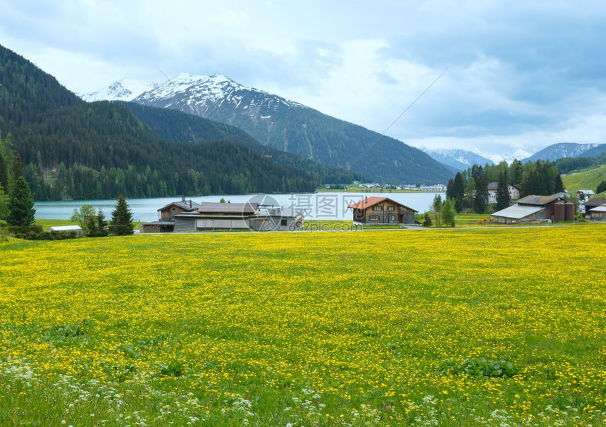 达沃斯湖和丹迪利翁草原瑞士的夏季景观图片