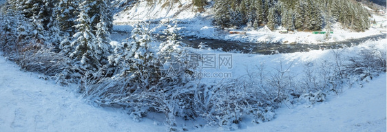 冬季河岸上有雪灌木全景图片