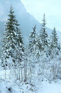 山脚边的白雪树图片