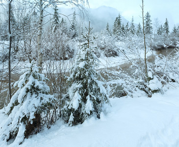 冬季小溪河岸上有雪树图片