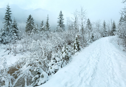 冬天的小溪流河岸和道上有雪树图片