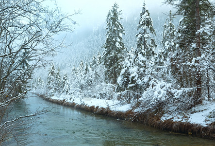 冬季小溪河岸上有雪树图片