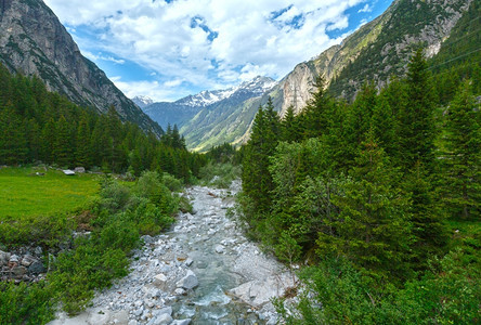 GrimselPass夏季风景与河流和fir森林瑞士伯尔尼阿卑斯山图片