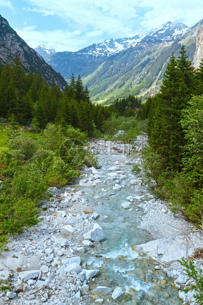 GrimselPass夏季风景与河流和森林瑞士伯尔尼阿卑斯山图片