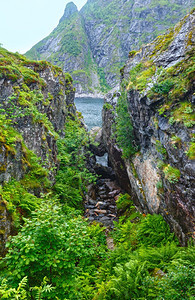 圆石卡在岩中夏季海岸挪威洛福顿图片