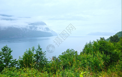 夏季雾海岸与低云相望挪威图片