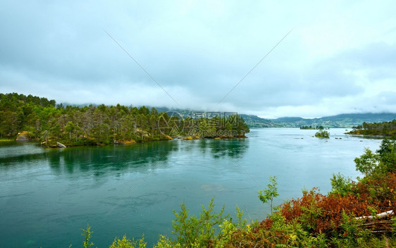 夏季云端峡湾风景岸上森林挪威图片