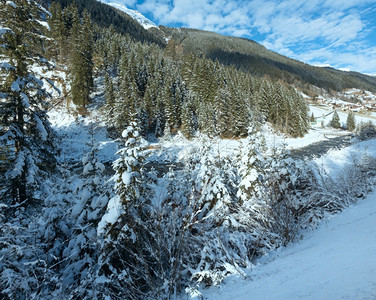 冬季山河岸上有雪树图片