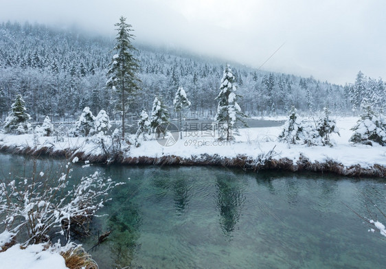 冬季小溪河岸上有雪树图片
