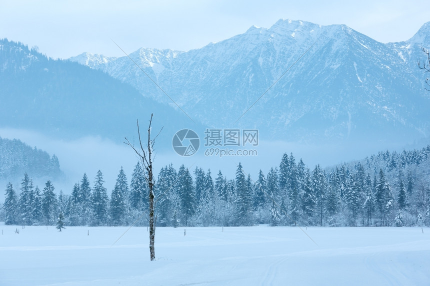 冬季山地风景有雪的森林图片