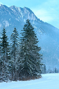 冬季山地风景有雪的森林图片