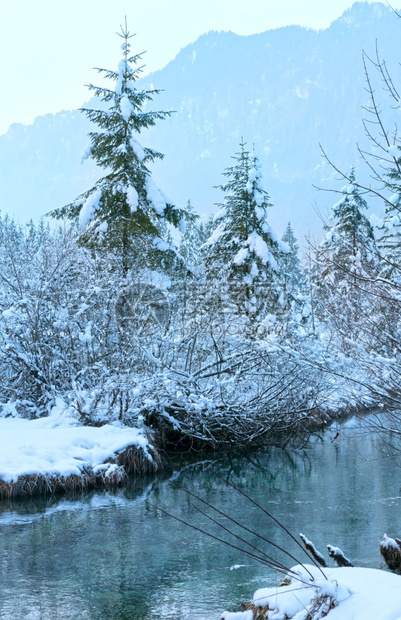 冬季小溪河岸上有雪树图片