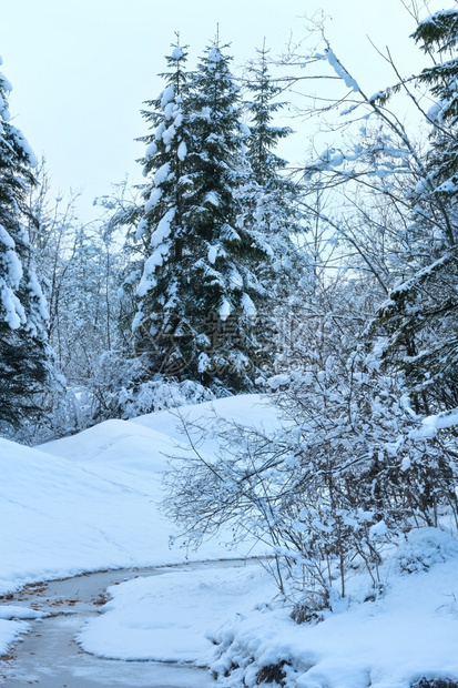 冬季小溪河岸上有雪树图片