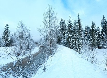 冬季小溪河岸上有雪树图片