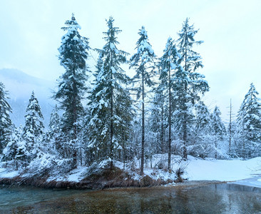 冬季小溪河岸上有雪树图片