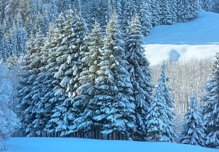 山坡上有雪的森林奥地利巴伐亚的冬季山地景观高清图片