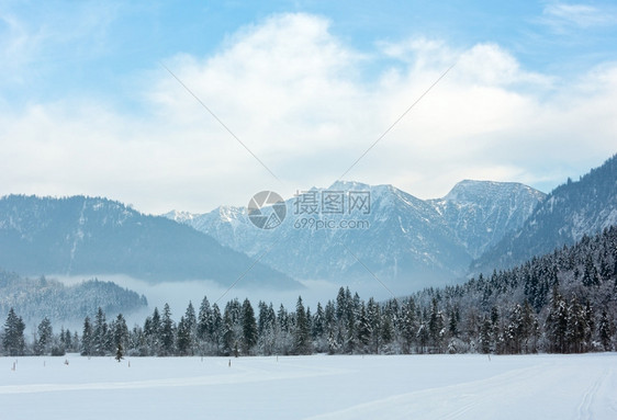 跨越滑雪跑道和冬季山地景观有雪林图片