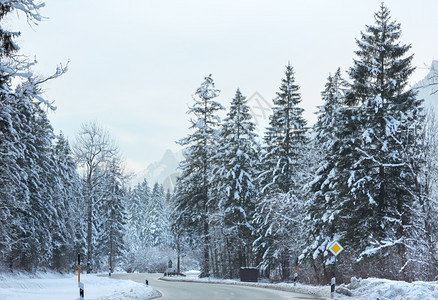 冬季山路有雪的森林图片