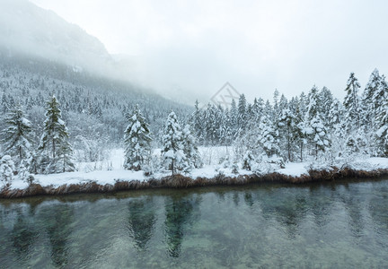 冬季小溪河岸上有雪树图片