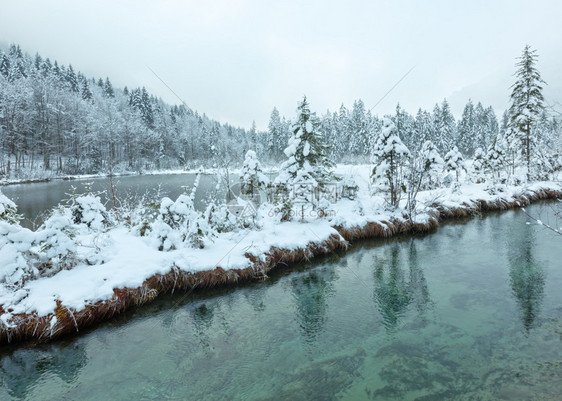 冬季小溪河岸上有雪树图片