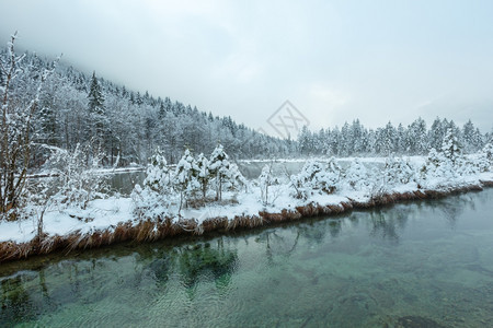 冬季小溪河岸上有雪树图片