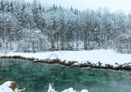 冬季小溪河岸上有雪树图片