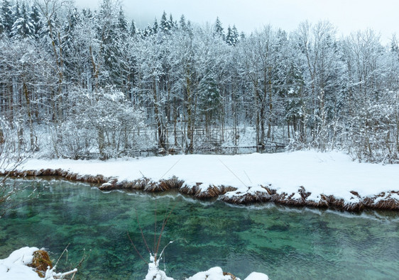 冬季小溪河岸上有雪树图片