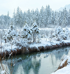 冬季小溪河岸上有雪树图片