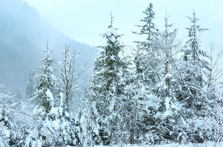 山脚边的雪树阴暗云雾日图片