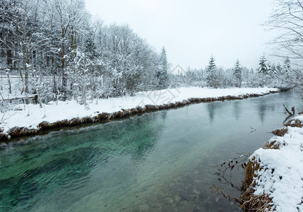 冬季小溪河岸上有雪树图片