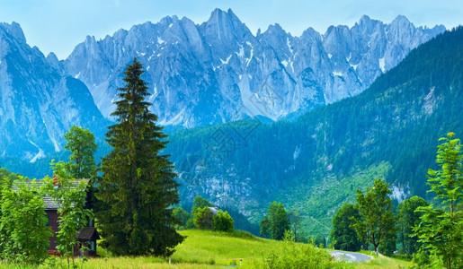 阿尔卑斯山平静的夏季风景奥地利戈索村郊区背景图片