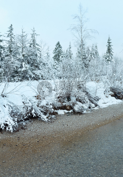 小的冬季溪流和河岸上的雪树云雾般天气图片
