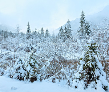 通过河岸上雪树的枝微小冬季溪流云雾般的天气图片