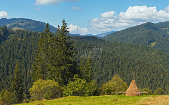 乌克兰喀尔巴阡山地区的夏季草原和干草堆图片