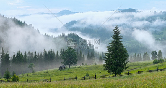 夏季山的浓雾喀尔巴阡山乌克兰图片