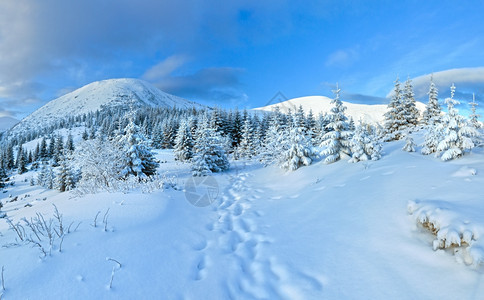 早晨冬季山地风景坡上有森林图片