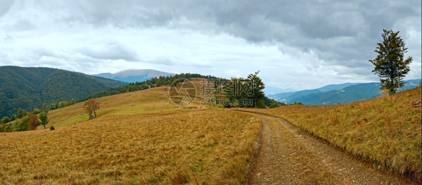 喀尔巴阡山脉乌克兰秋季风景与乡村公路全景图片