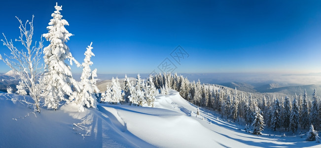 喀尔巴阡山冬季平静的雪景观背景图片